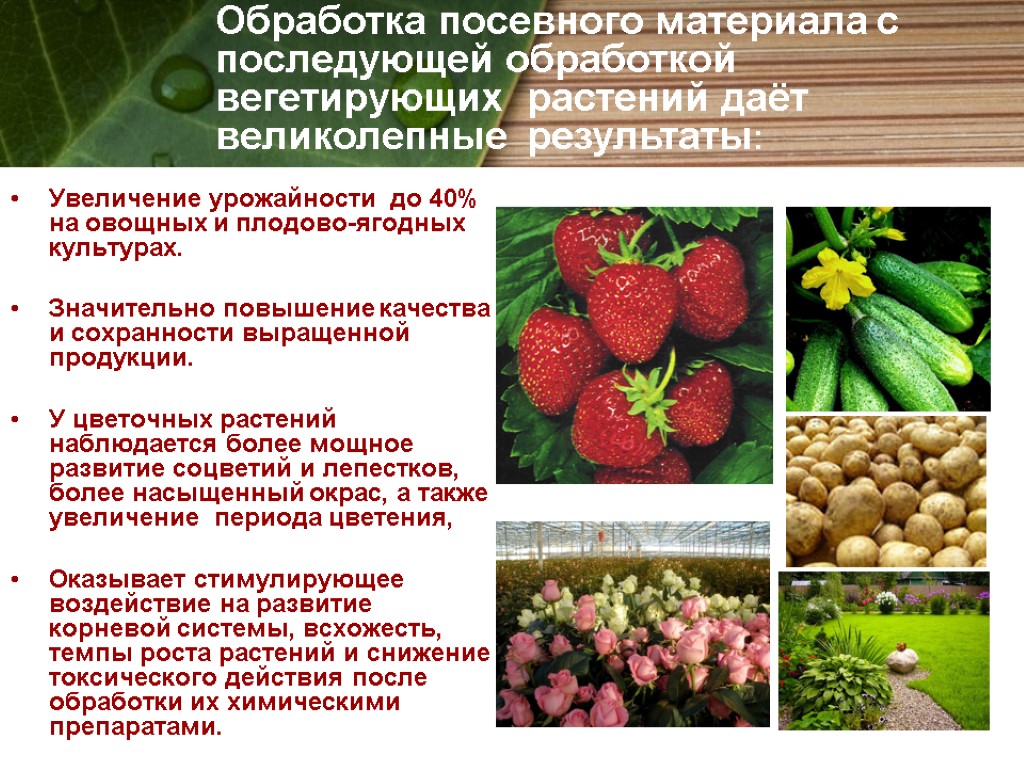 Увеличение урожайности до 40% на овощных и плодово-ягодных культурах. Значительно повышение качества и сохранности